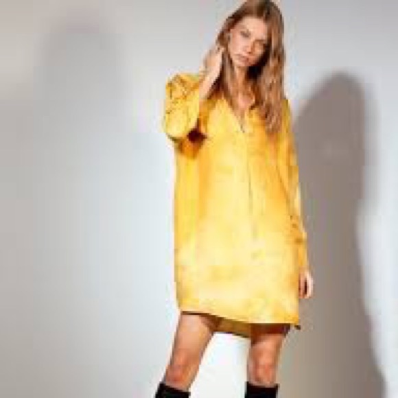 Le Fou Wilfred Aritzia Silk Aura Dress - Picture 5 of 6